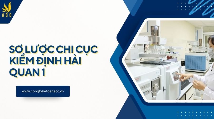 Sơ lược Chi cục kiểm định Hải quan 1