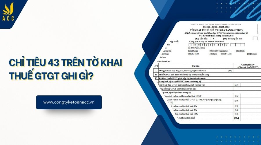 Chỉ tiêu 43 trên tờ khai thuế GTGT ghi gì?