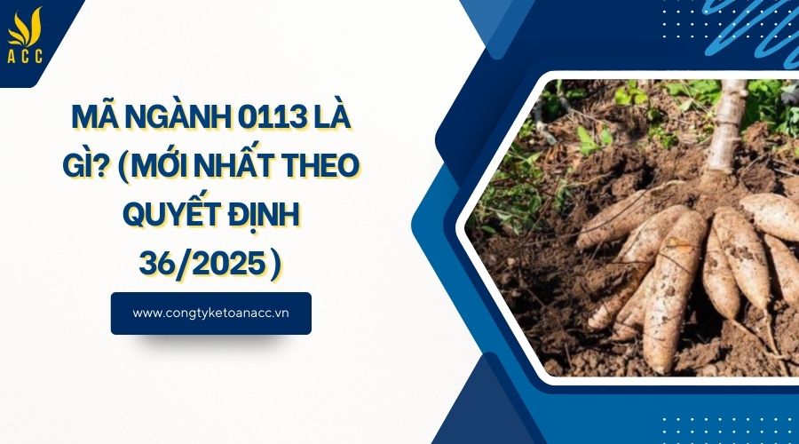 Mã ngành 0113 là gì? (Mới nhất theo quyết định 36/2025)
