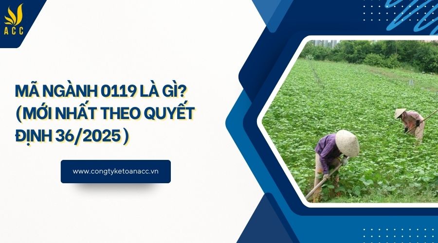 Mã ngành 0119 là gì? (Mới nhất theo quyết định 36/2025)