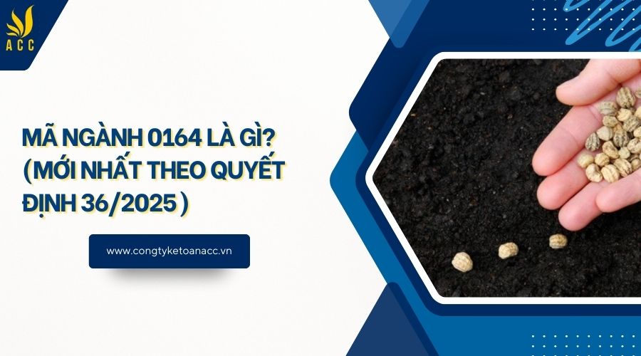 Mã ngành 0164 là gì? (Mới nhất theo quyết định 36/2025)