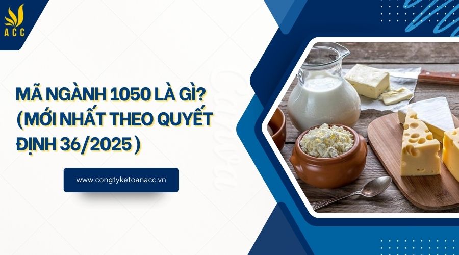 Mã ngành 1050 là gì? (Mới nhất theo quyết định 36/2025)