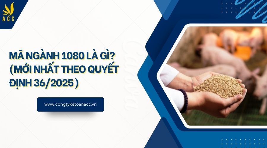 Mã ngành 1080 là gì? (Mới nhất theo quyết định 36/2025)
