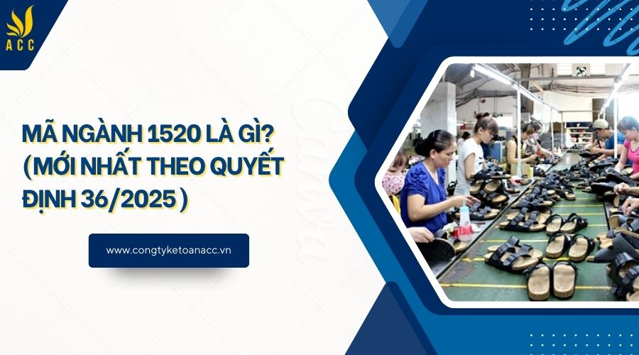 Mã ngành 1520 là gì? (Mới nhất theo quyết định 36/2025)