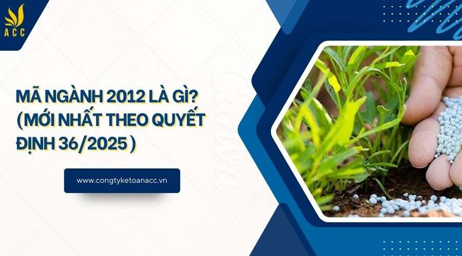 Mã ngành 2012 là gì? (Mới nhất theo quyết định 36/2025)