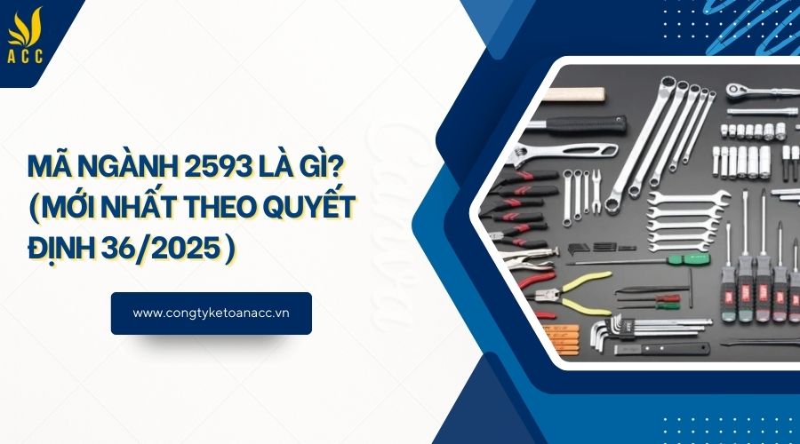 Mã ngành 2593 là gì? (Mới nhất theo quyết định 36/2025) - Công ty dịch ...