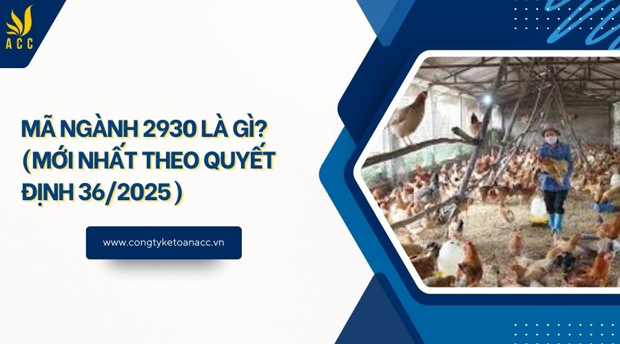 Mã ngành 2930 là gì? (Mới nhất theo quyết định 36/2025) - Công ty dịch ...