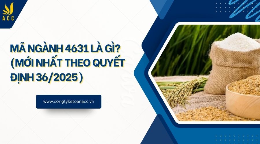 Mã ngành 4631 là gì? (Mới theo quyết định 36/2025) - Công ty dịch vụ kế ...