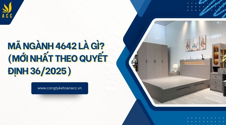 Mã ngành 4642 là gì? (Mới nhất theo quyết định 36/2025)