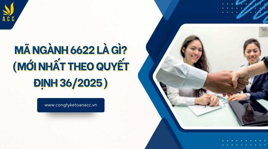 Mã ngành 6622 là gì? (Mới nhất theo quyết định 36/2025)