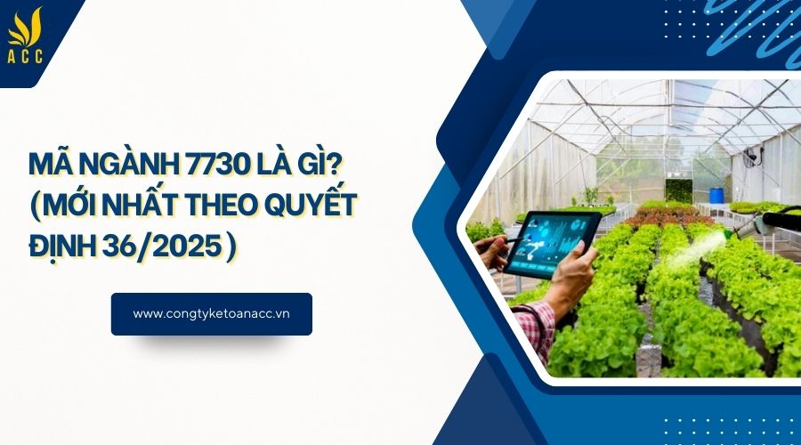 Mã ngành 7730 là gì? (Mới nhất theo quyết định 36/2025)