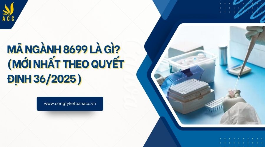 Mã ngành 8699 là gì? (Mới nhất theo quyết định 36/2025)