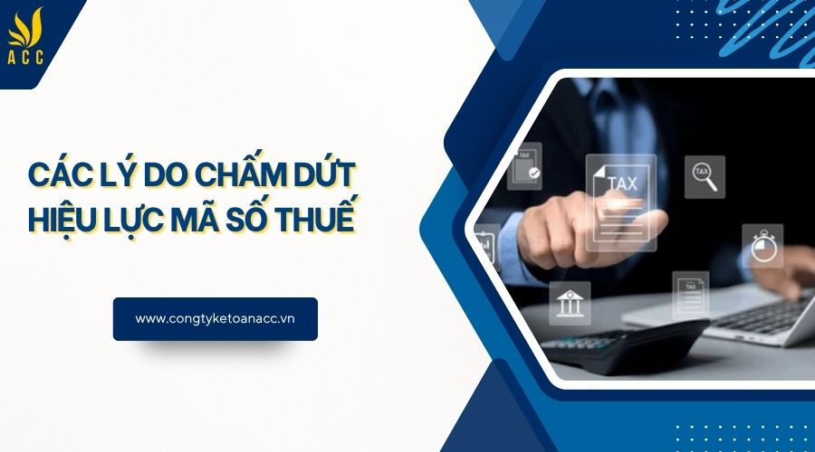 Các lý do chấm dứt hiệu lực mã số thuế