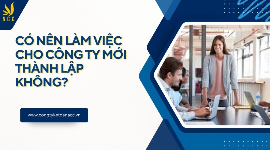 Có nên làm việc cho công ty mới thành lập không?