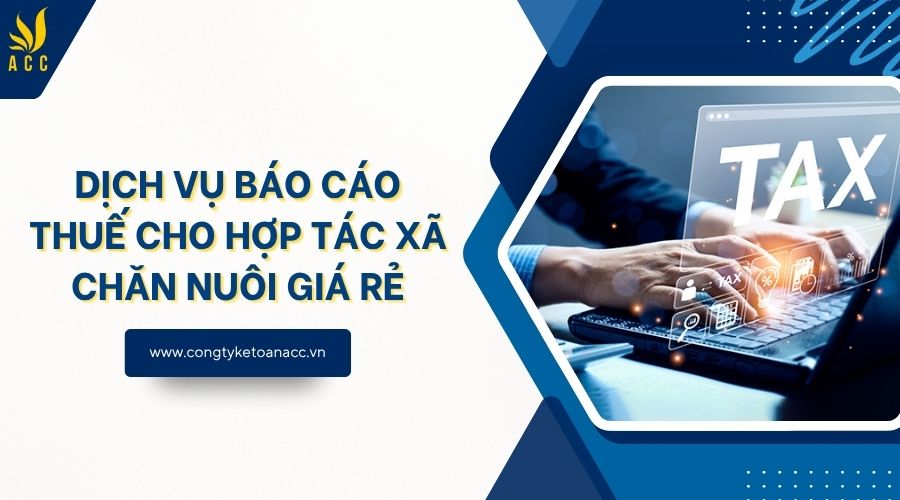 Dịch vụ báo cáo thuế cho hợp tác xã chăn nuôi giá rẻ