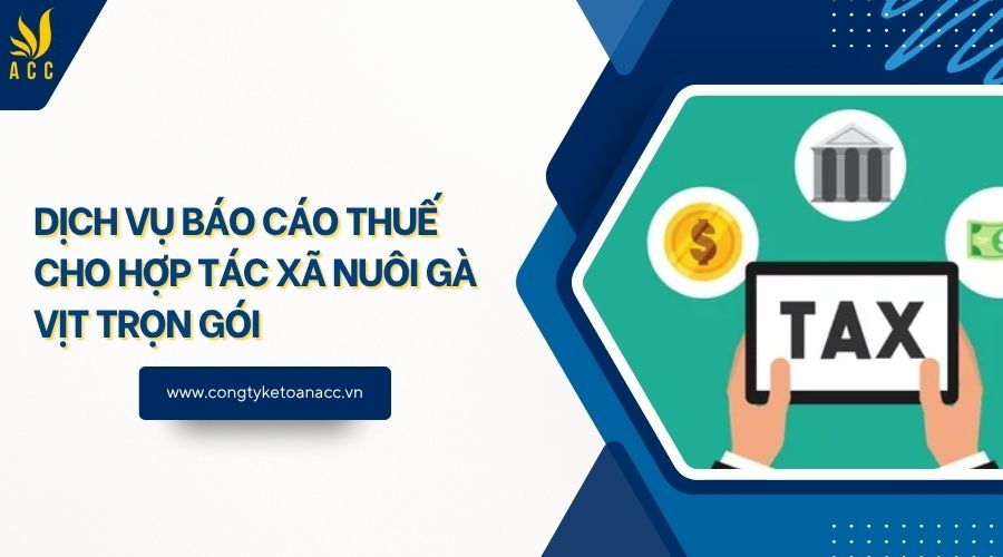 Dịch vụ báo cáo thuế cho hợp tác xã nuôi gà vịt trọn gói