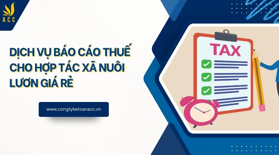 Dịch vụ báo cáo thuế cho hợp tác xã nuôi lươn giá rẻ