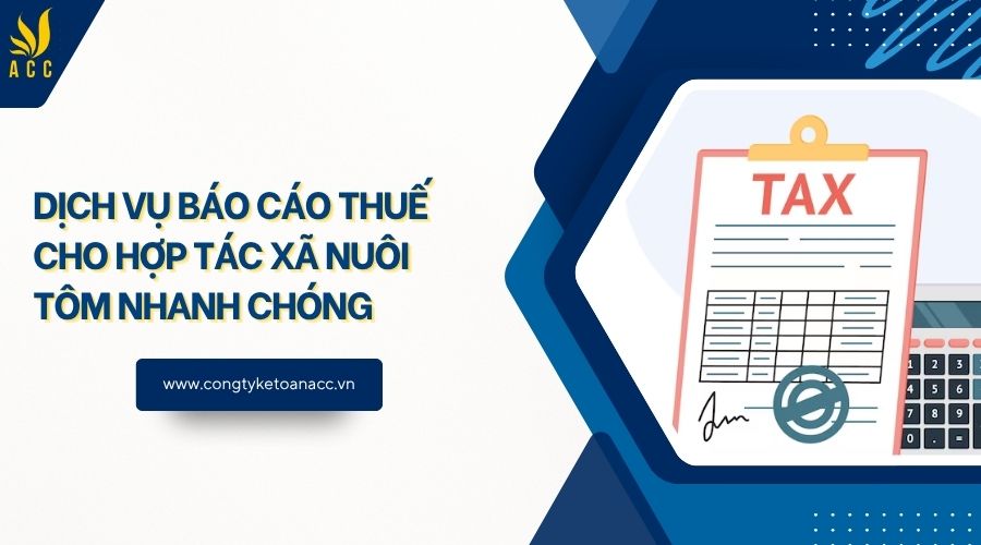 Dịch vụ báo cáo thuế cho hợp tác xã nuôi tôm nhanh chóng