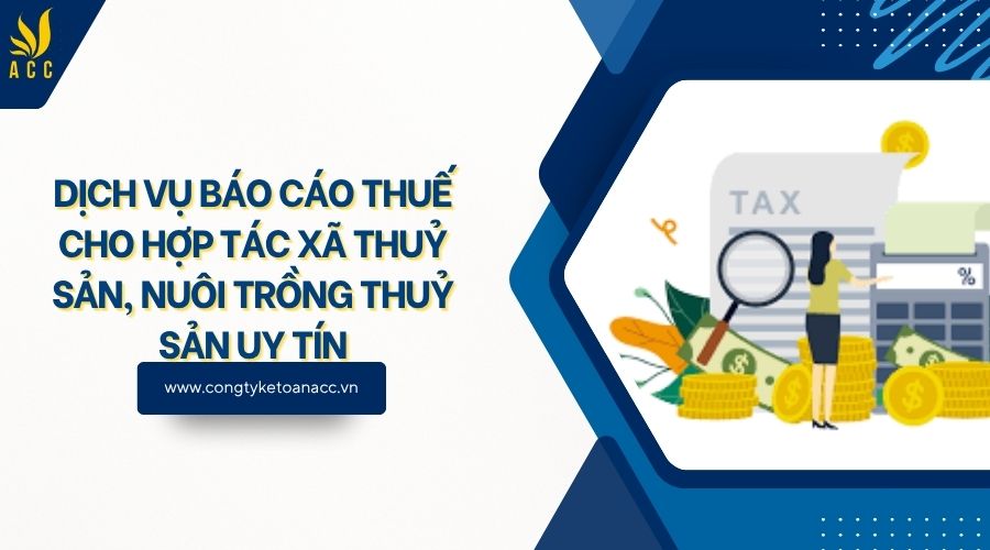 Dịch vụ báo cáo thuế cho hợp tác xã thuỷ sản, nuôi trồng thuỷ sản uy tín