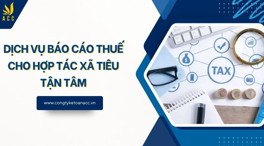 Dịch vụ báo cáo thuế cho hợp tác xã tiêu tận tâm