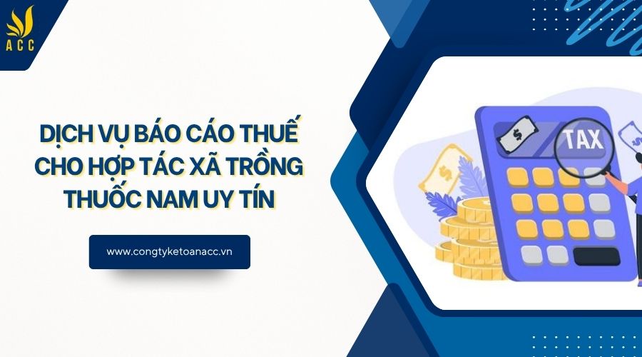 Dịch vụ báo cáo thuế cho hợp tác xã trồng thuốc nam uy tín