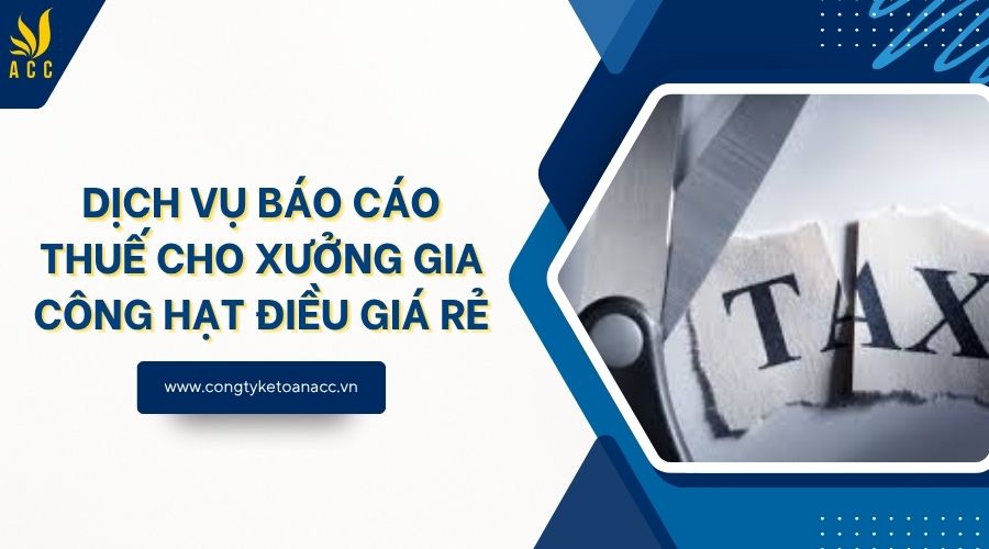 Dịch vụ báo cáo thuế cho xưởng gia công hạt điều giá rẻ
