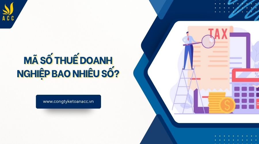 Mã số thuế doanh nghiệp bao nhiêu số?