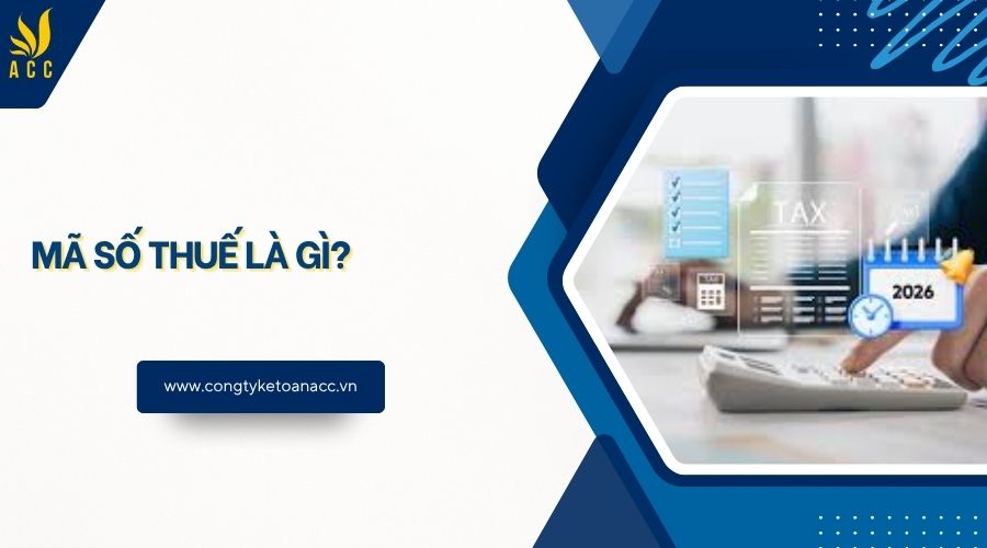 Mã số thuế là gì?