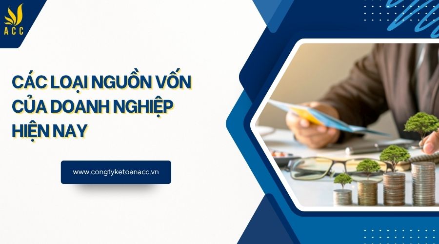 Các loại nguồn vốn của doanh nghiệp hiện nay
