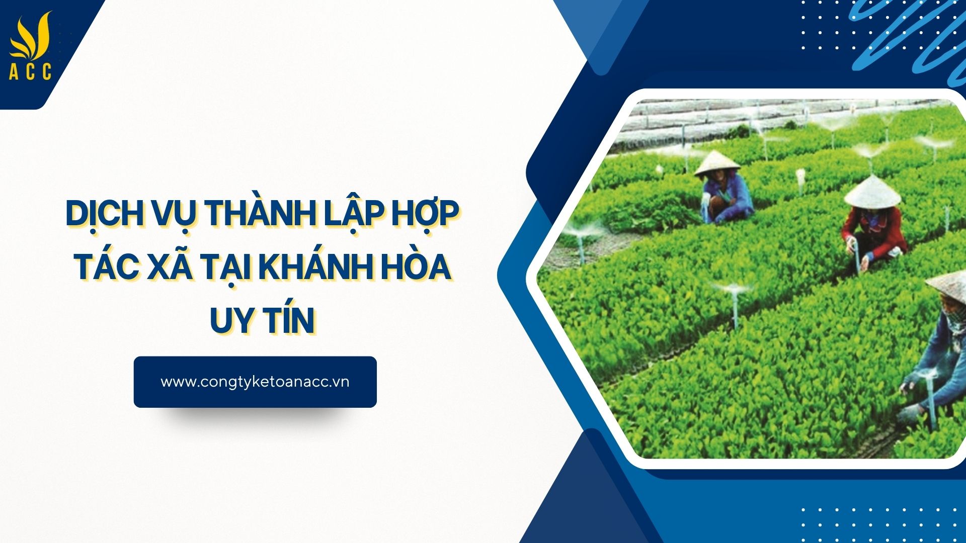 Dịch vụ thành lập hợp tác xã tại Khánh Hòa uy tín