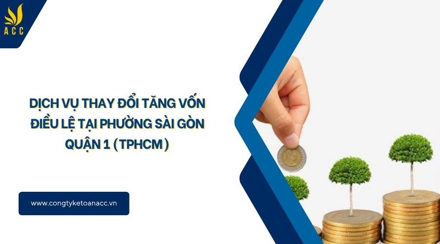 Dịch vụ thay đổi tăng vốn điều lệ tại Phường Sài Gòn Quận 1 (TPHCM)