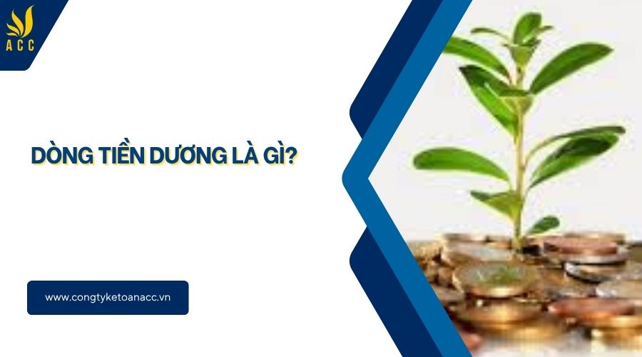 Dòng tiền dương là gì?