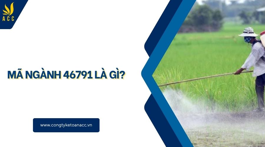 Mã ngành 46791 là gì?