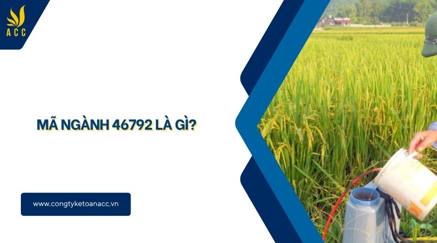 Mã ngành 46792 là gì?