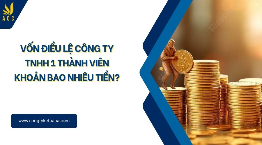 Vốn điều lệ công ty TNHH 1 thành viên khoản bao nhiêu tiền?