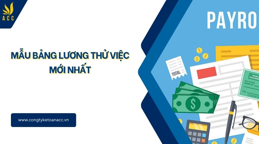 Mẫu bảng lương thử việc mới nhất