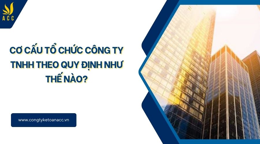 Cơ cấu tổ chức công ty TNHH theo quy định như thế nào?