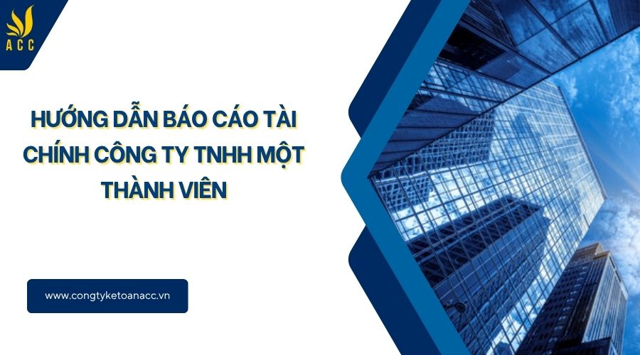 Hướng dẫn báo cáo tài chính công ty TNHH một thành viên