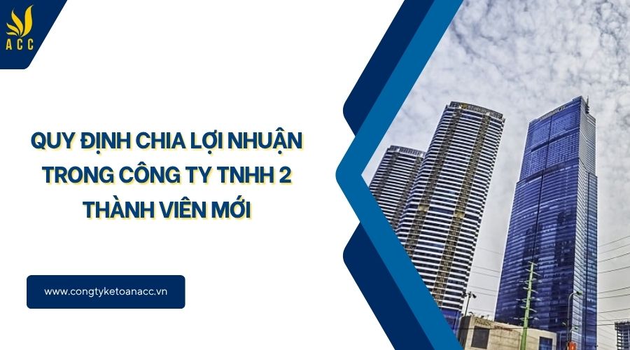 Quy định chia lợi nhuận trong công ty TNHH 2 thành viên mới